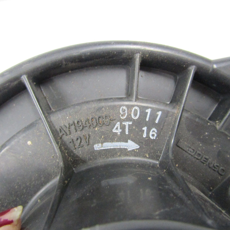 Image #2