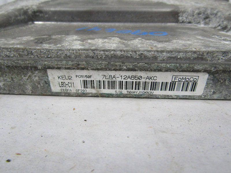 Image #4